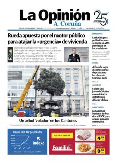 UN ÁRBOL ‘ VOLADOR’ EN LOS CANTONES